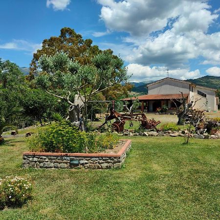 Azienda Agrituristica Verdevalle Cicerale エクステリア 写真