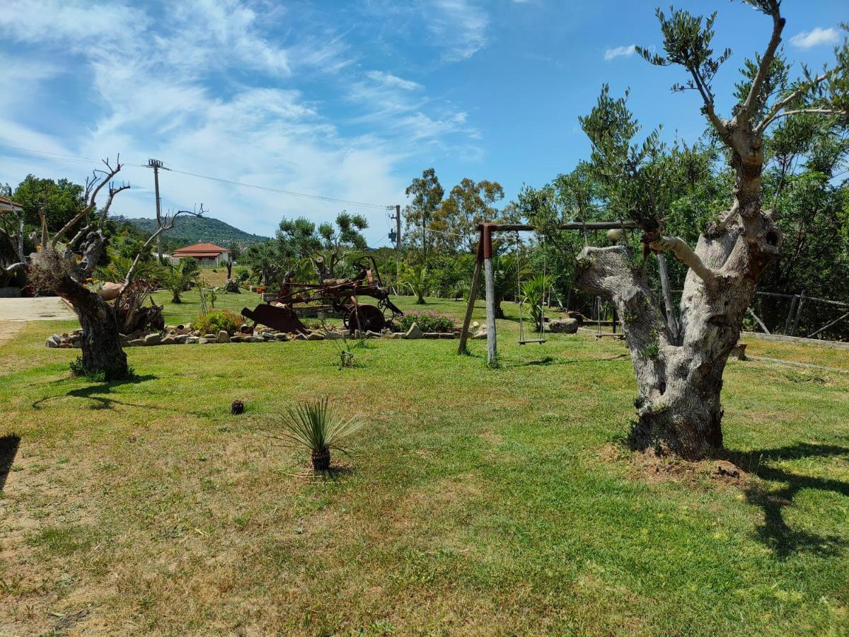 Azienda Agrituristica Verdevalle Cicerale エクステリア 写真